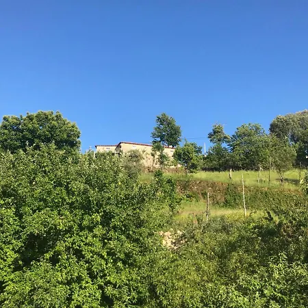Alojamento de Turismo Rural Casa Da Choqueira *