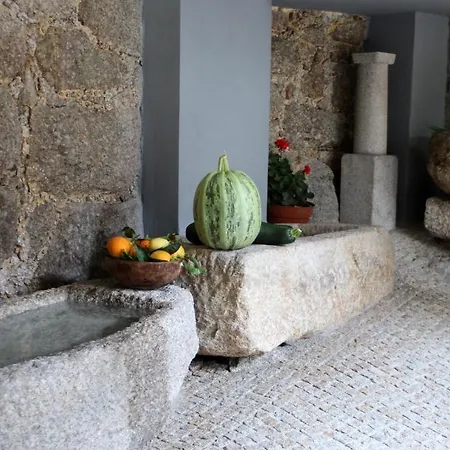 Casa Da Choqueira Vieira do Minho