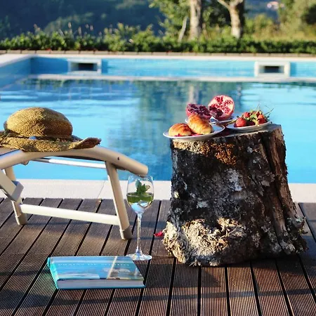 Farm stay Casa Da Choqueira *